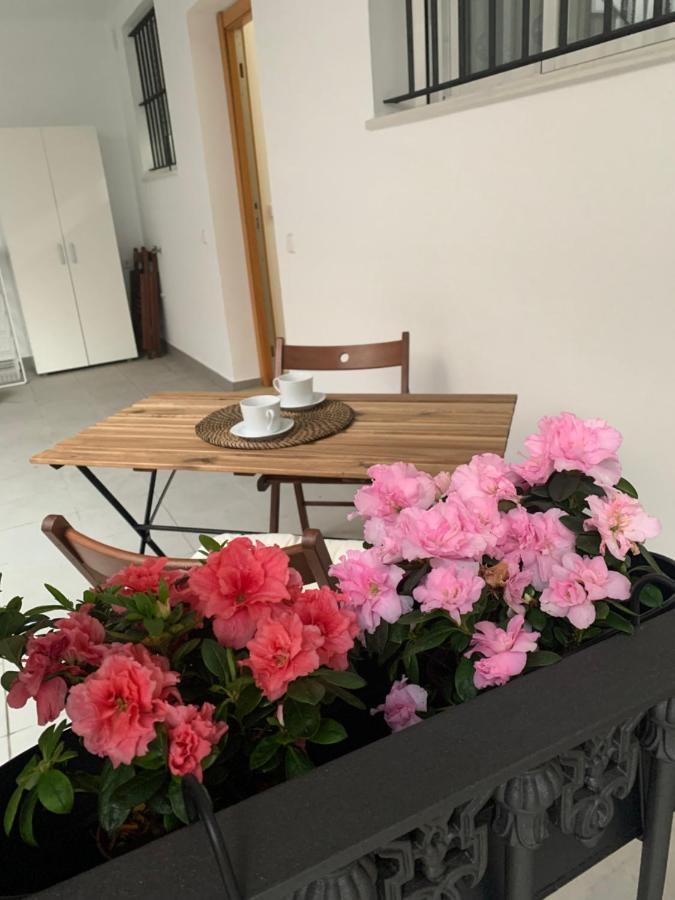 Casa Vigon Apartment Sanlucar de Barrameda Ngoại thất bức ảnh